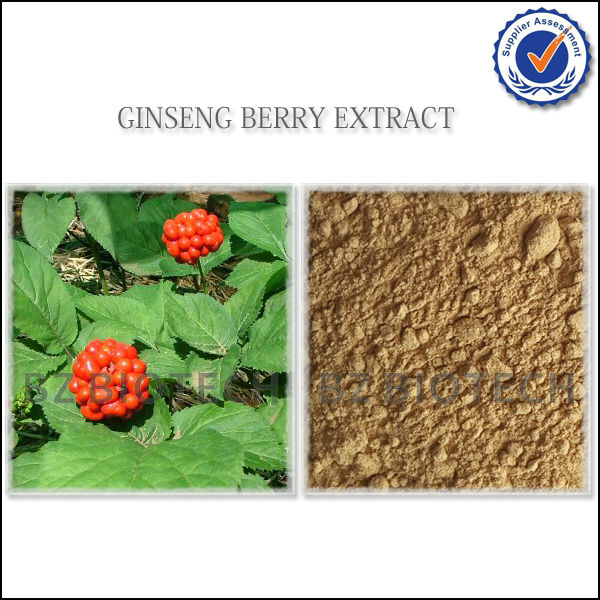 SIBERIAN GINSENG POWDER FOR TEA,WATER SOLUBLE GINSENG POWDER