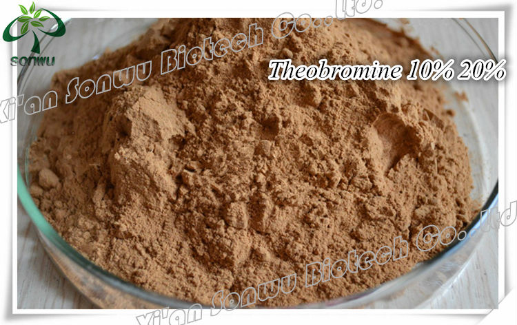 Cocoa extract Theobromine powder