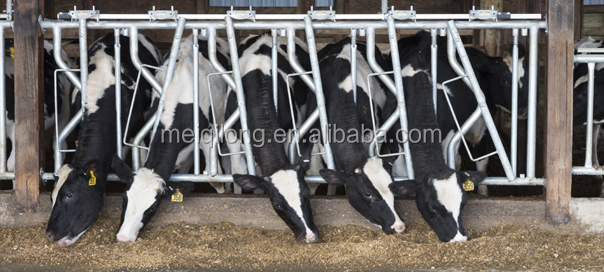 China Cattle Headlock With High Quality & Competitive Price