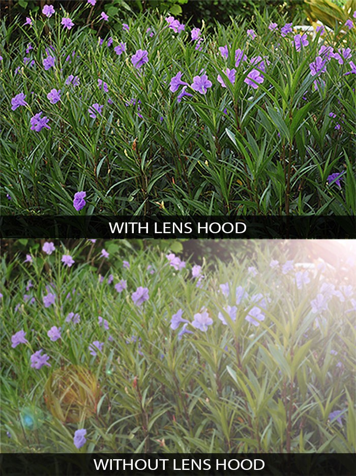 lens hood