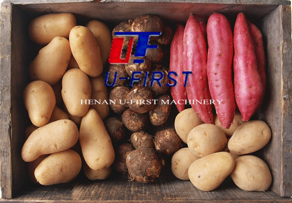 Factory price double brush type vegetable and fruit washing machine