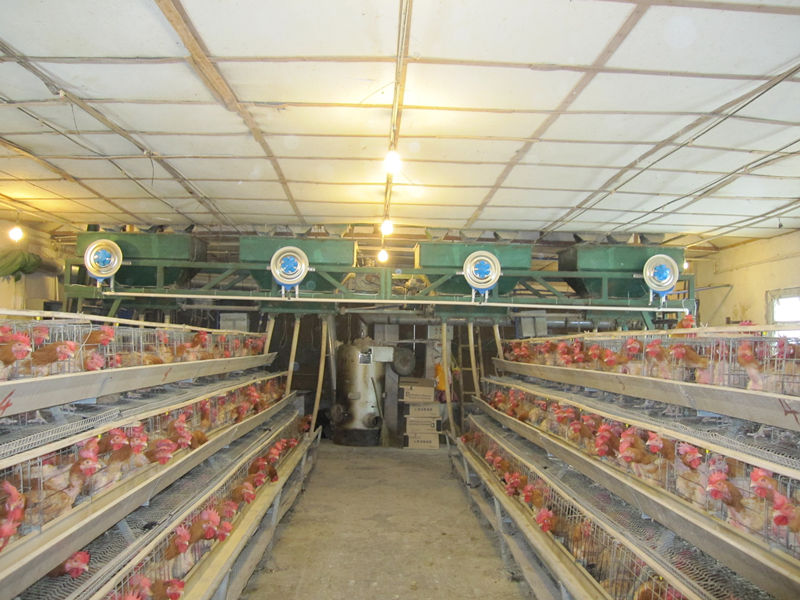 2014 new design poultry farm disinfectant for people at the entrance