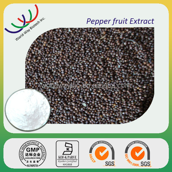 piperine free sample HACCP KOSHER GMP certified China factory food grade black pepper powder bulk piperine extract 10%