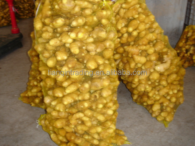 2014 Fresh Ginger and Air Dry Ginger in China, New Ginger