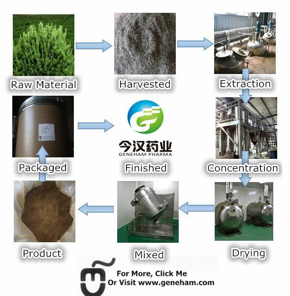 Rosemary Extract Ursolic Acid