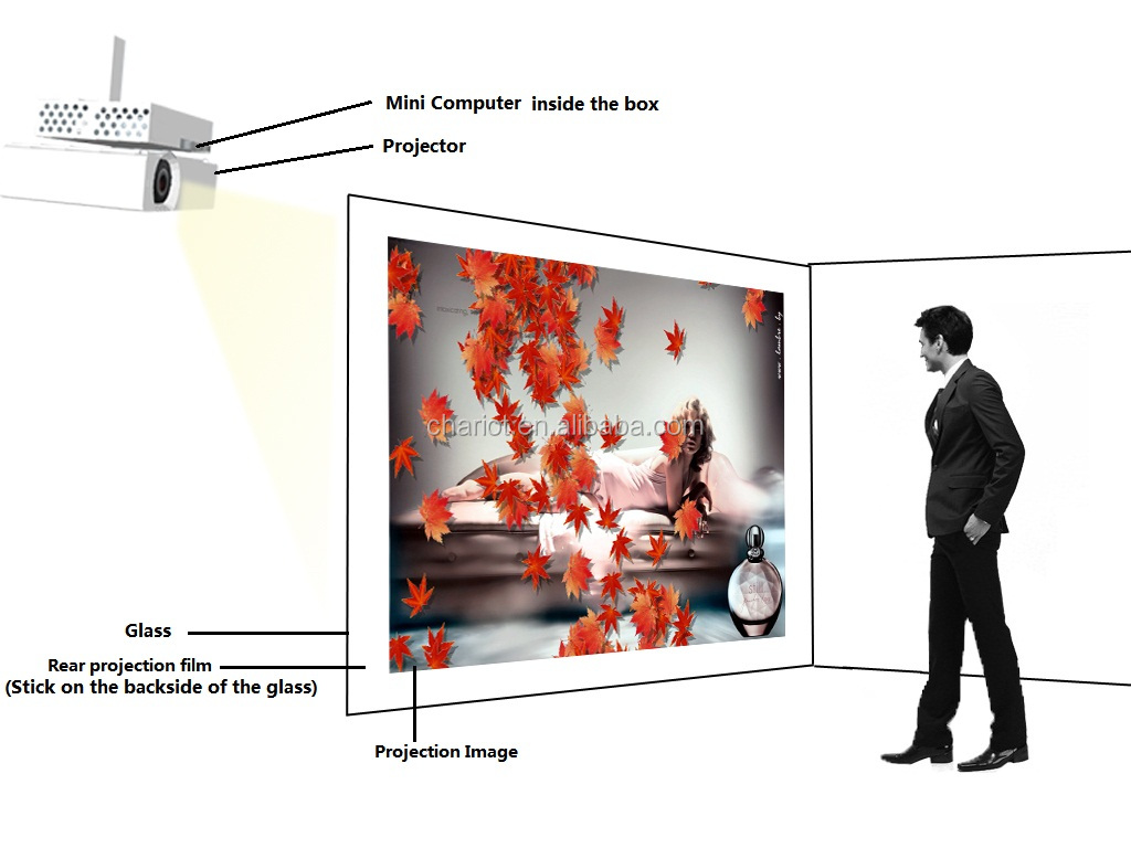 rear projection material rear projection material
