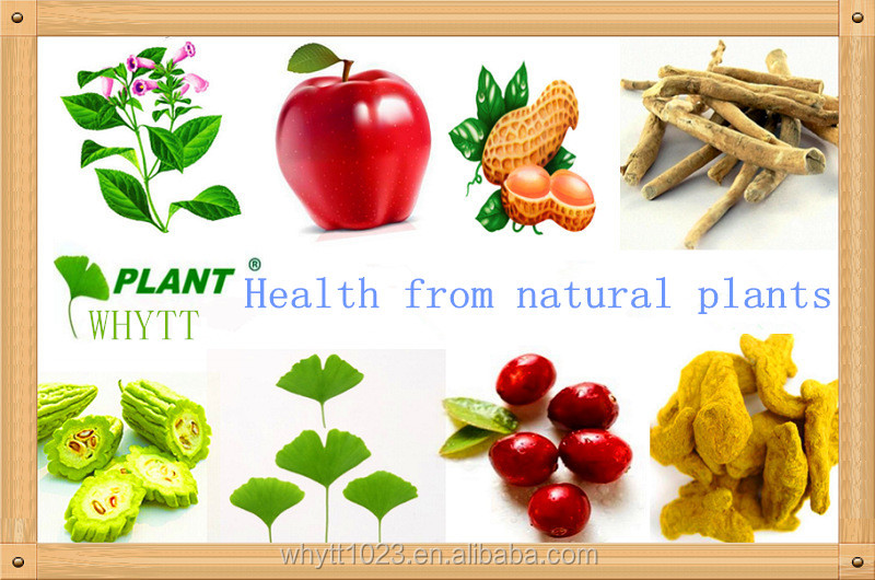 Green Tea Extract Powder, Green Tea Polyphenol