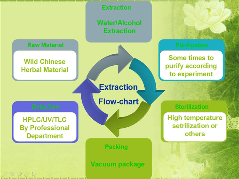 ginseng extract/korean red ginseng tea/ginseng powder
