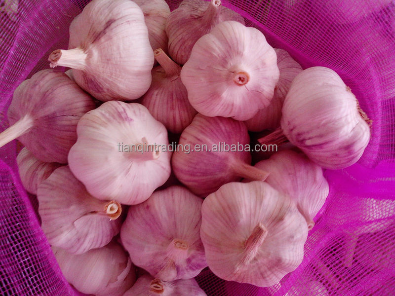 2014 New Price of Garlic in China
