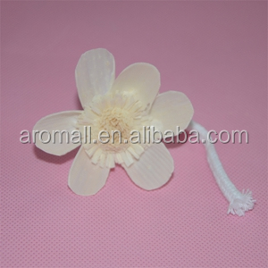 ソラフラワー/自然な花の/木材用の花フラワーのディスプレイセット問屋・仕入れ・卸・卸売り