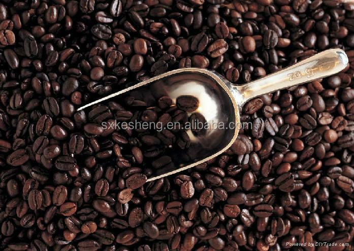 100% natural cocoa seed extract powder