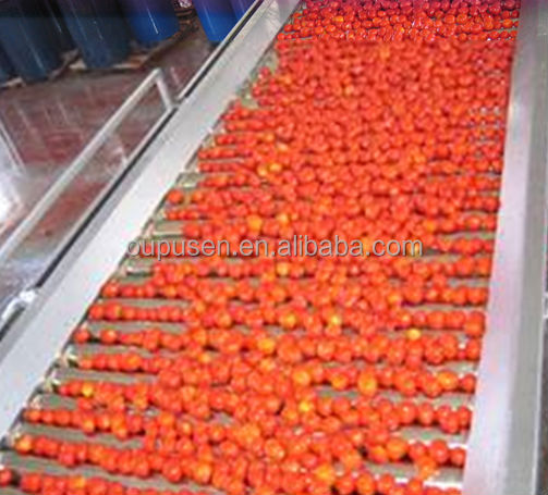 Tinned Ketchup Tomato Paste