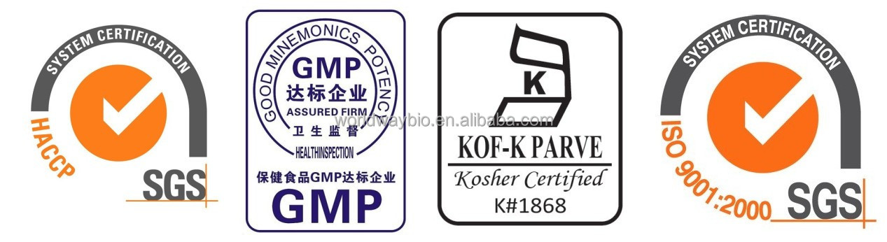 Food grade free sample made in China HACCP KOSHER GMP factory supply 10% piperine water-soluble black pepper extract