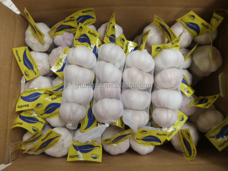 [factory]Shandong fresh garlic in market price
