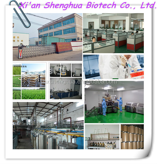 2014 free sample new arrival GMP factory supply Hawthorn Fruit P.E powder