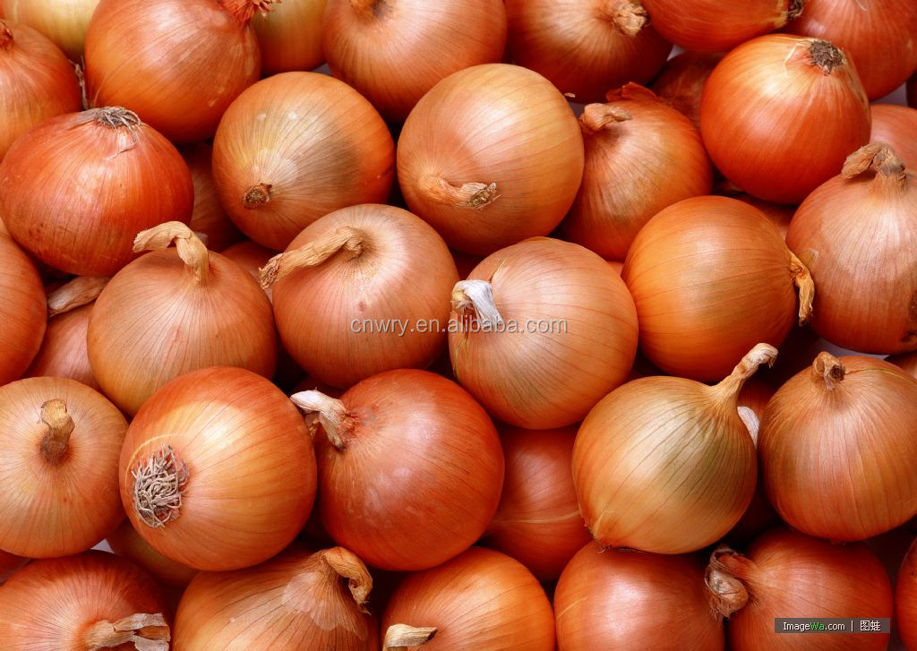 2014 seasonable fresh onion in different pack