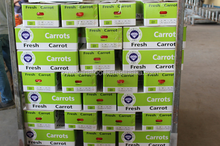 2014 New Crop Fresh Carrots Prices from China