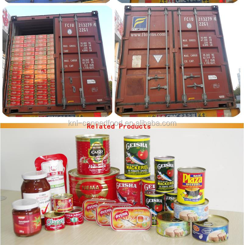 Tomato paste in can 800gx12tins