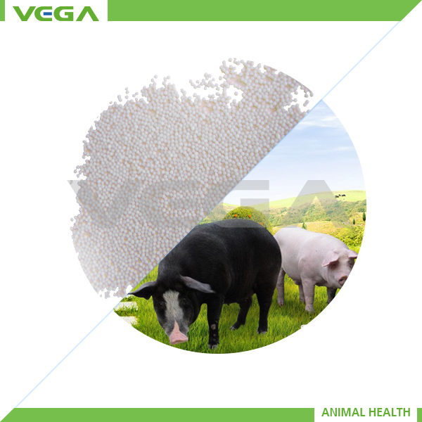 50% Vitamin E Micro-capsule