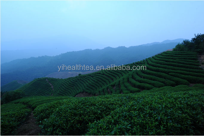 No additive good effect easy slim fit tea