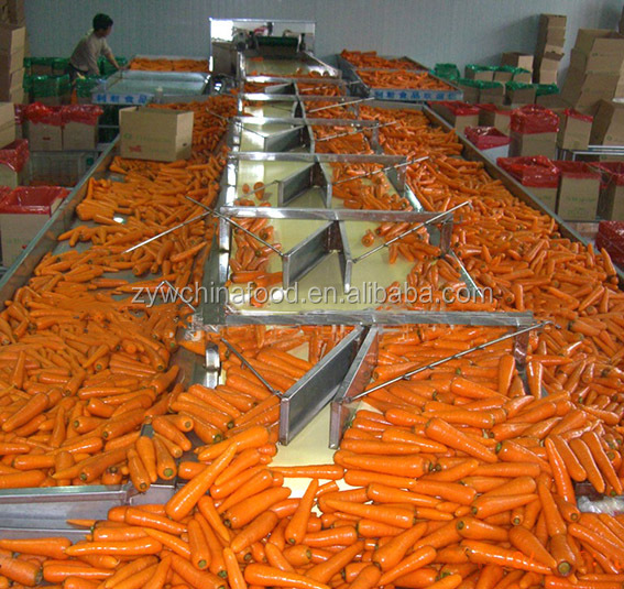 2014 New Crop Fresh Carrots Prices from China