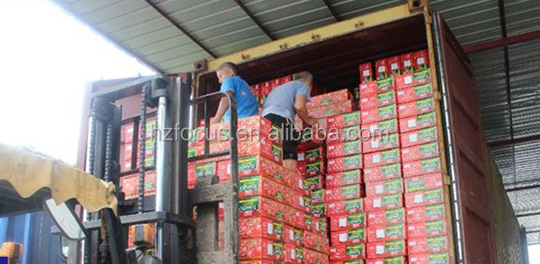 bulk tomato paste in drum