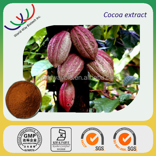 Cocoa extract GMP KOSHER HACCP China manufacturer supply pure natural cocoa polyphenol cocoa seeds e