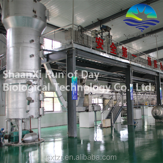Organic Green Tea Extract,Natural Green Tea Powder,Green Tea Polyphenol
