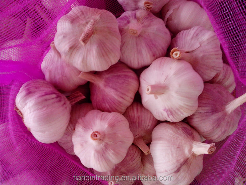2014 New Red Garlic in China, Purple Garlic Supplier/Exporter