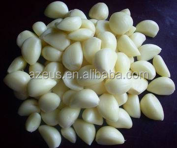 vegetable processing machines stainless steel garlic peeling machine 0086-13592420081