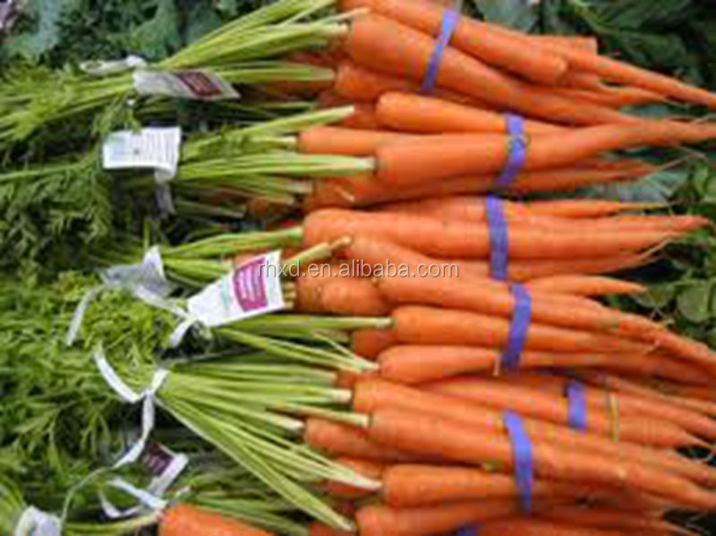 2014 New Crop China import fresh carrots(S,M,L,2L,3L)