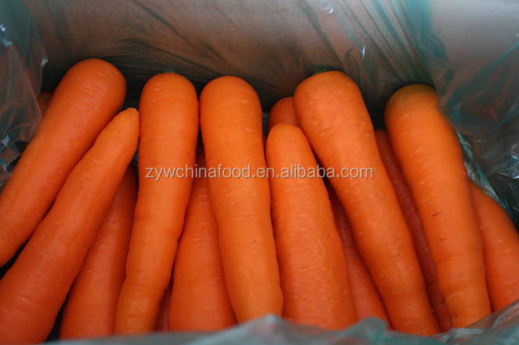 2014 China Wholesale Bulk Fresh Yellow Carrots Vegetables Low Price for sale Exporters