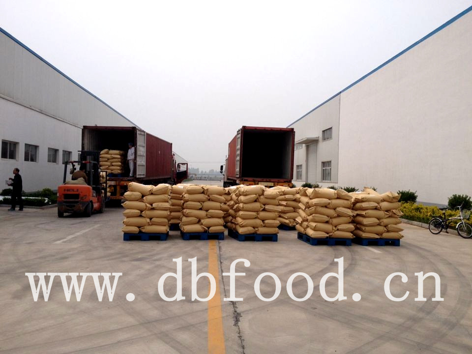 Dry garlic granule 8-16 mesh from factory with BRC GAP KOSHER HACCP