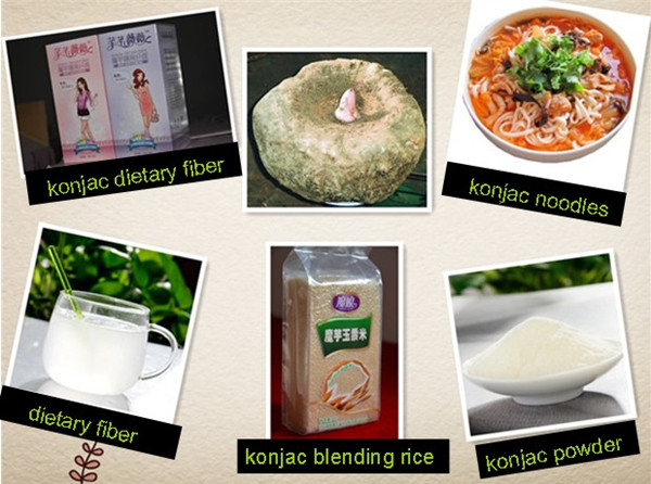 Low calories konjac swimming noodles in knots