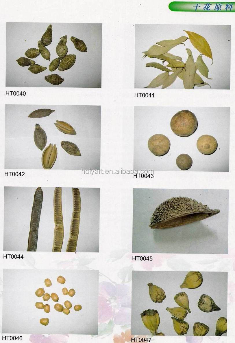 catalogue (9).jpg