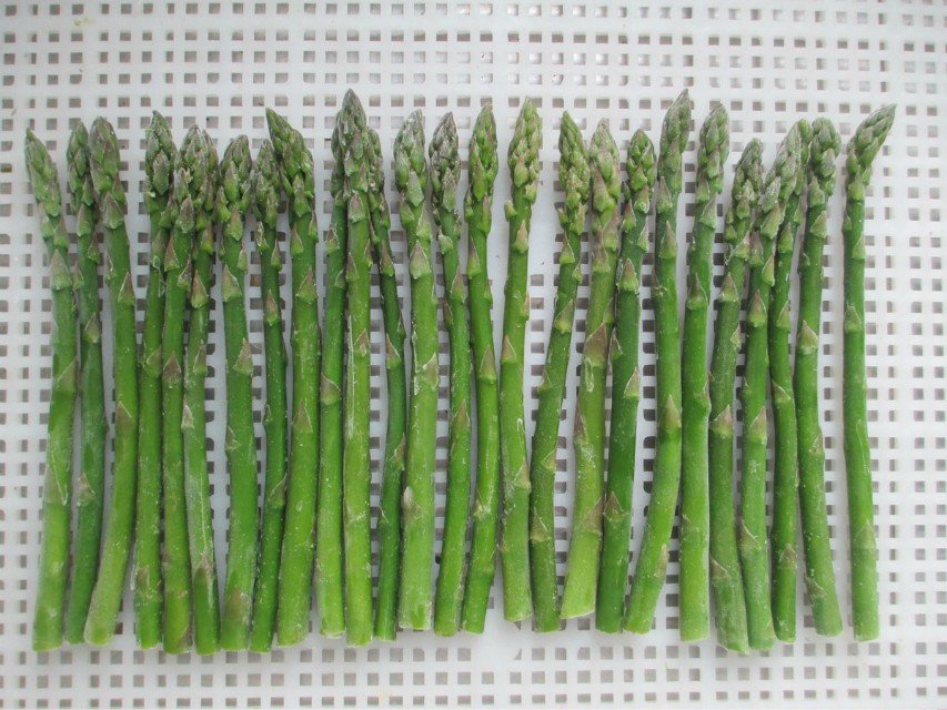 Chinese new IQF & Frozen types of onions