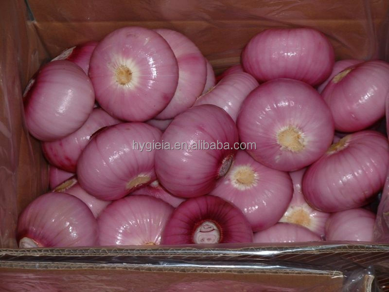 fresh red onion 2014 new crop