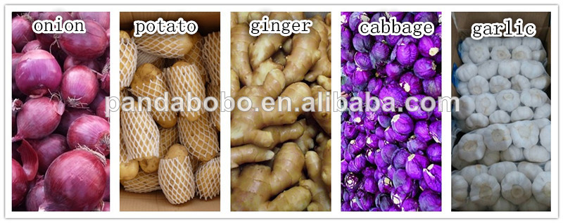 fresh dry garlic export to dubai with best price