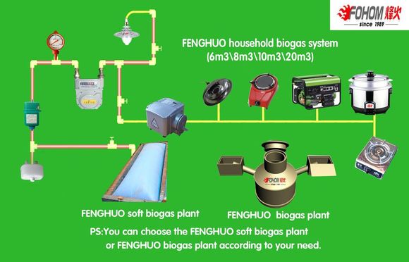 biogas booster pump for power generation plant