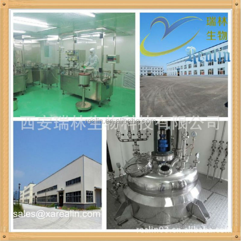 high quality soybean lecithin powder
