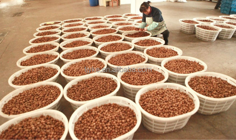 Raw Peanut.raw peanut kernel