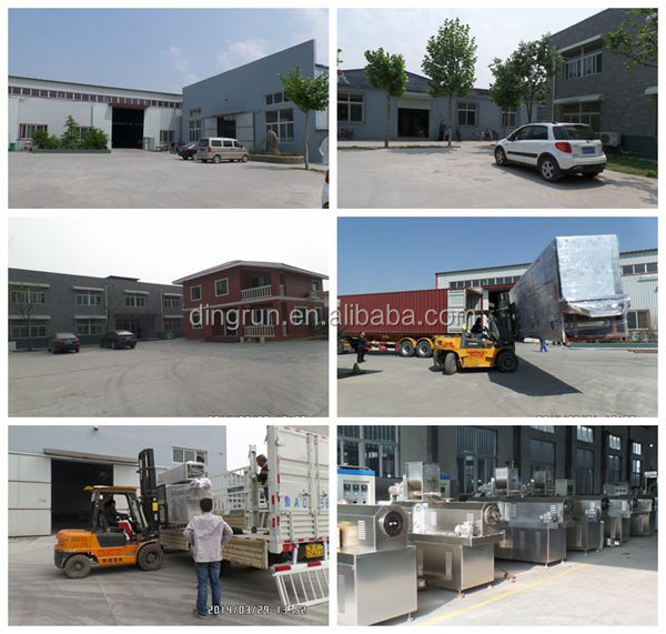 china Textured TVP Soya Nuggets Mince food Processing Machine