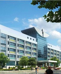 最新の多機能ライムグリーンのキッチン用品問屋・仕入れ・卸・卸売り