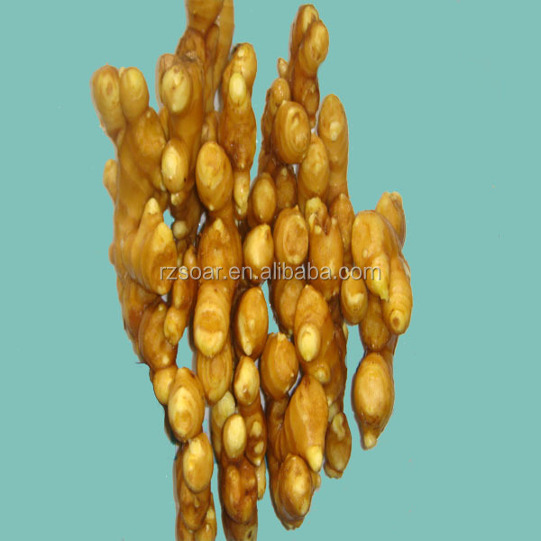 fresh ginger specification