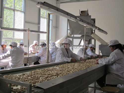 HACCP common raw peanut kernel