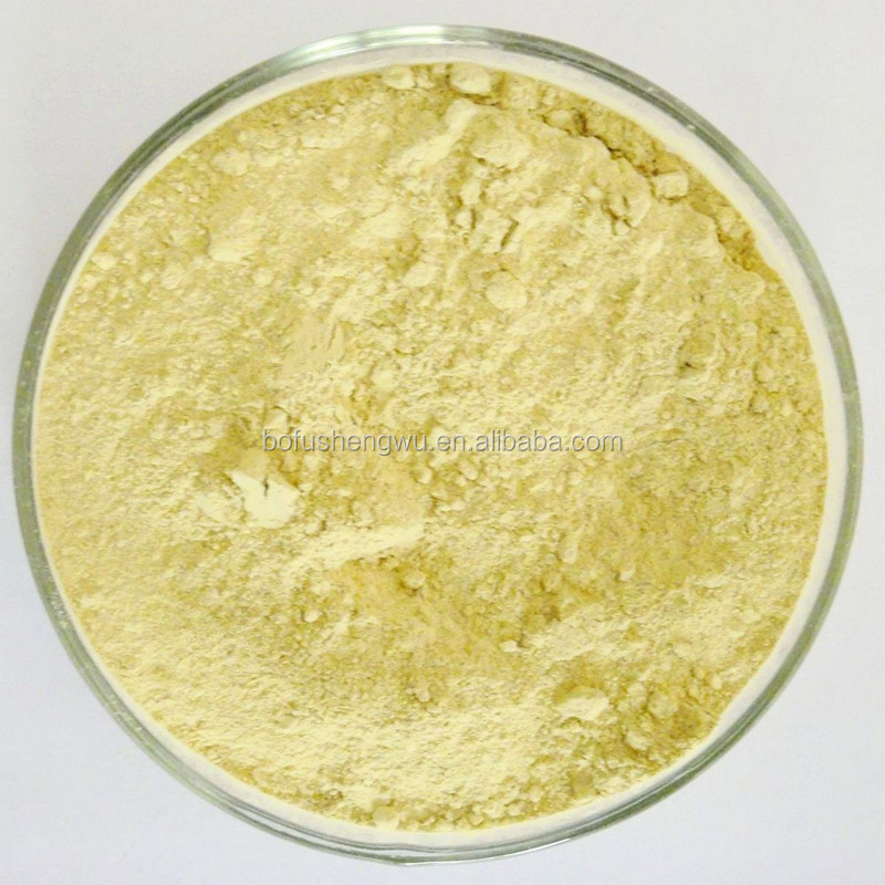 aloe vera extract in shampoo,aloe vera extract 20%aloin