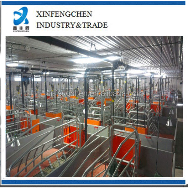 pig-farrowing-pens
