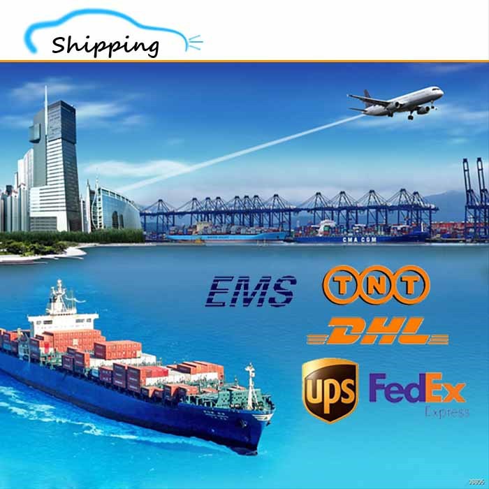 6 Shipping