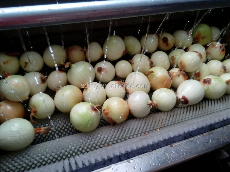 XCJ automatic stainless steel vegetable washing machine / professional vegetable washer machine /vegetable washer and peeler