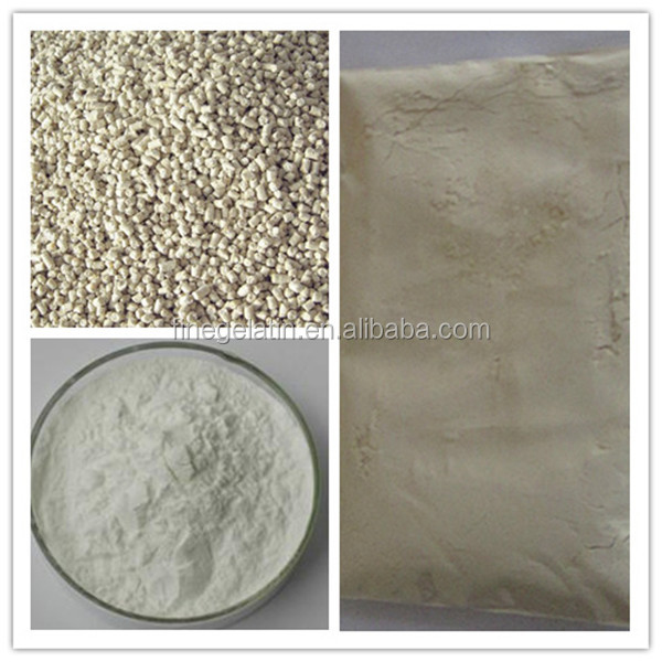 hydrolysed gelatin/protein hydrolysate/halal gelatin hydrolysate,China